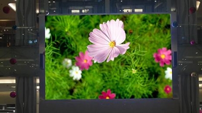 <b>Mini LED來(lái)勢(shì)洶洶，OLED還扛得住嗎？</b>